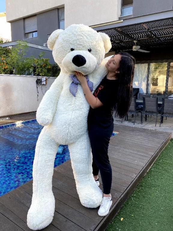 דובי ענק דובילי דובי ענק דובילי