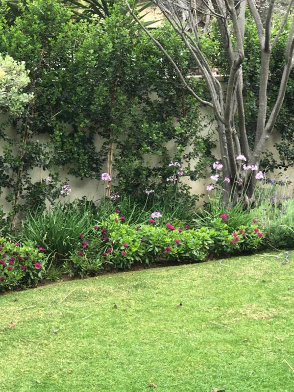 טרופי גרדן גינון ופיתוח טרופי גרדן גינון ופיתוח