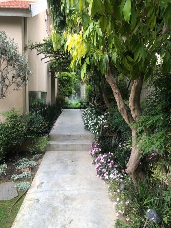 טרופי גרדן גינון ופיתוח טרופי גרדן גינון ופיתוח