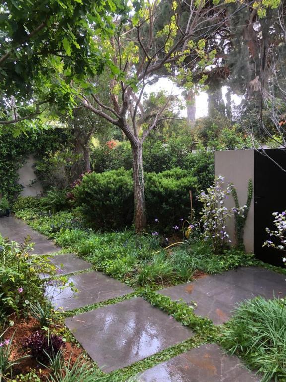 טרופי גרדן גינון ופיתוח טרופי גרדן גינון ופיתוח