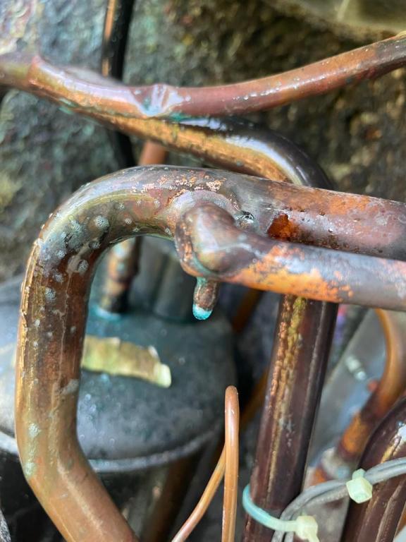 ליאור קובי ליאור קובי