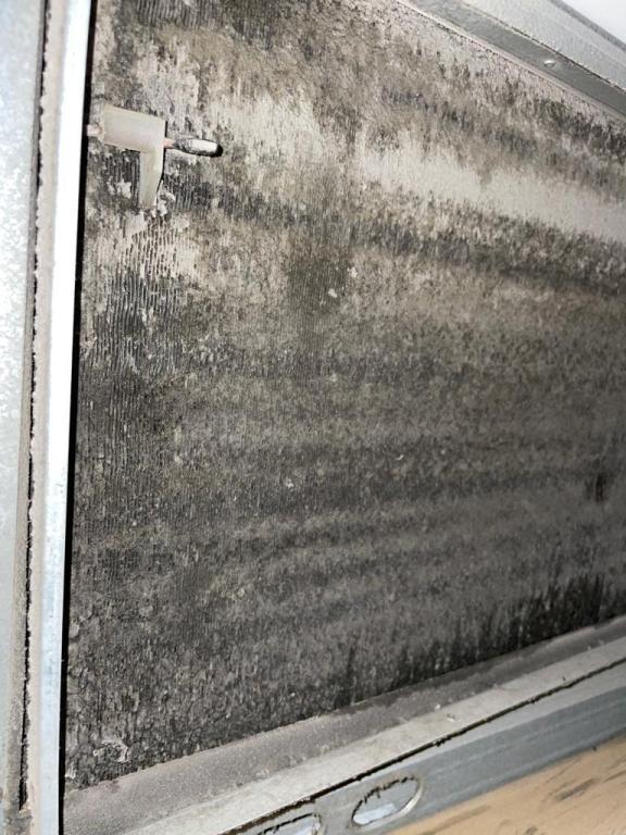 ליאור קובי ליאור קובי