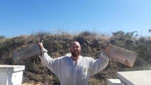מכוורת איילת השחר