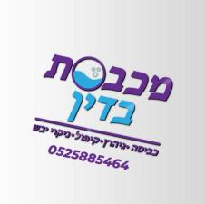 מכבסת בדין