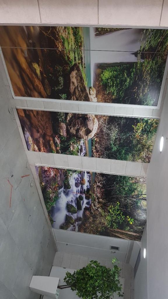 עמית הרוניאן עמית הרוניאן