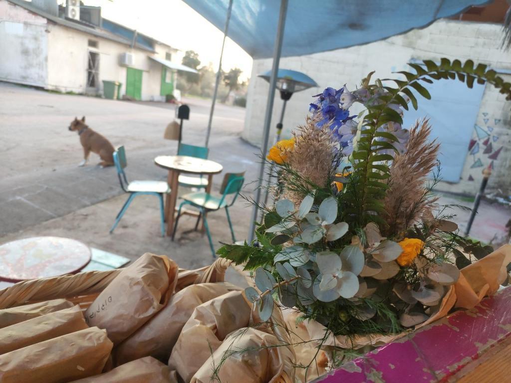 קפה הכפר קפה הכפר