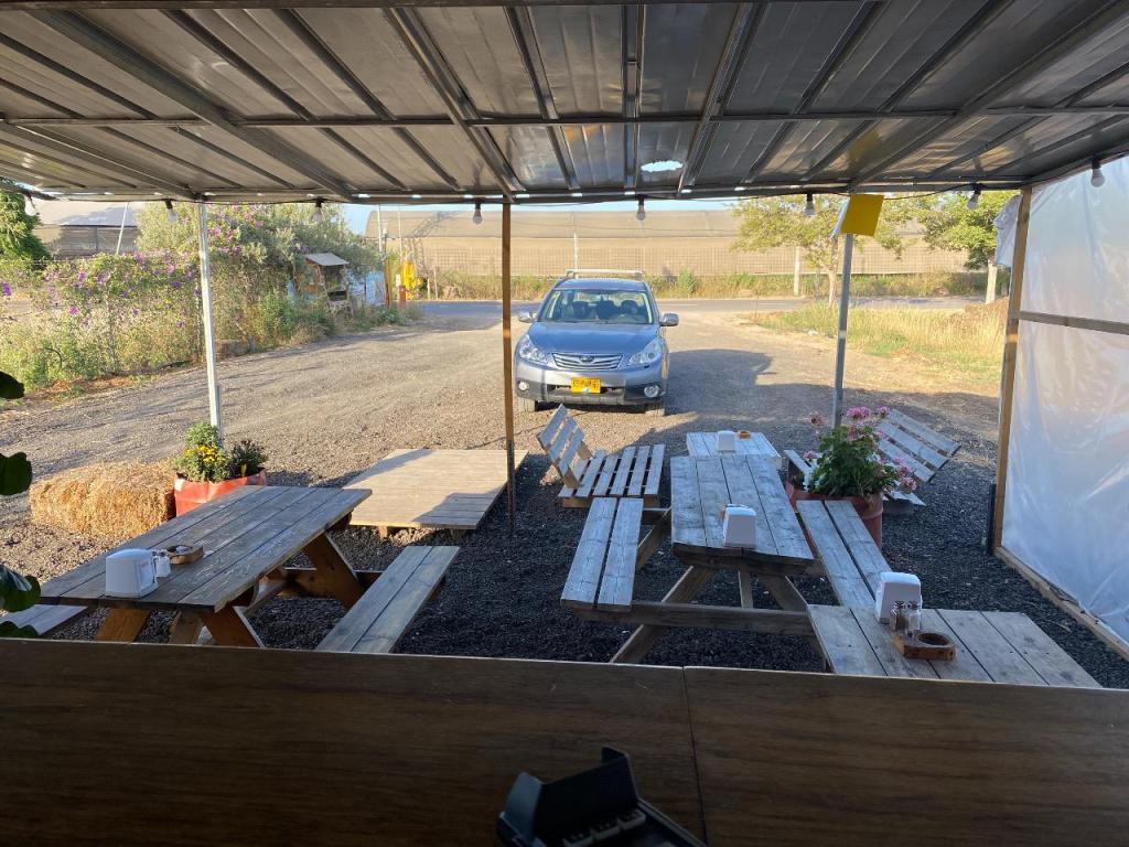 טראקטור טראקטור