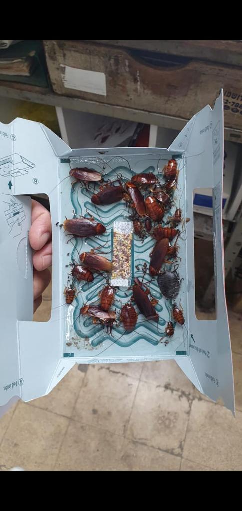 עד הבורג עד הבורג