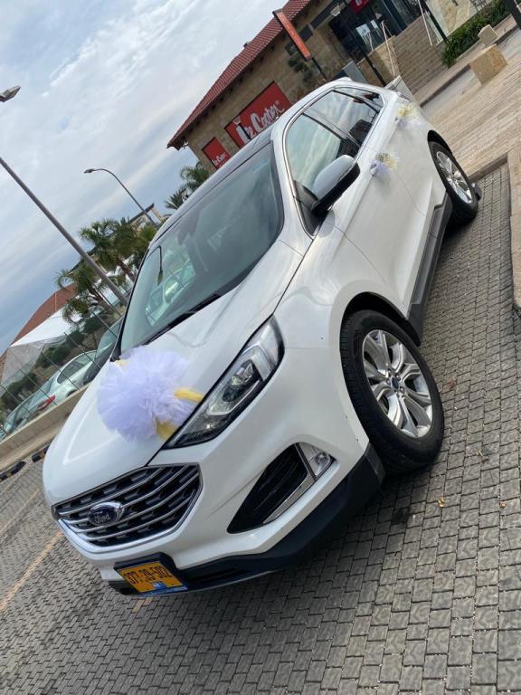 Bloom israel פרחים Bloom israel פרחים