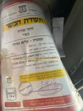 עלינא בפיתה
