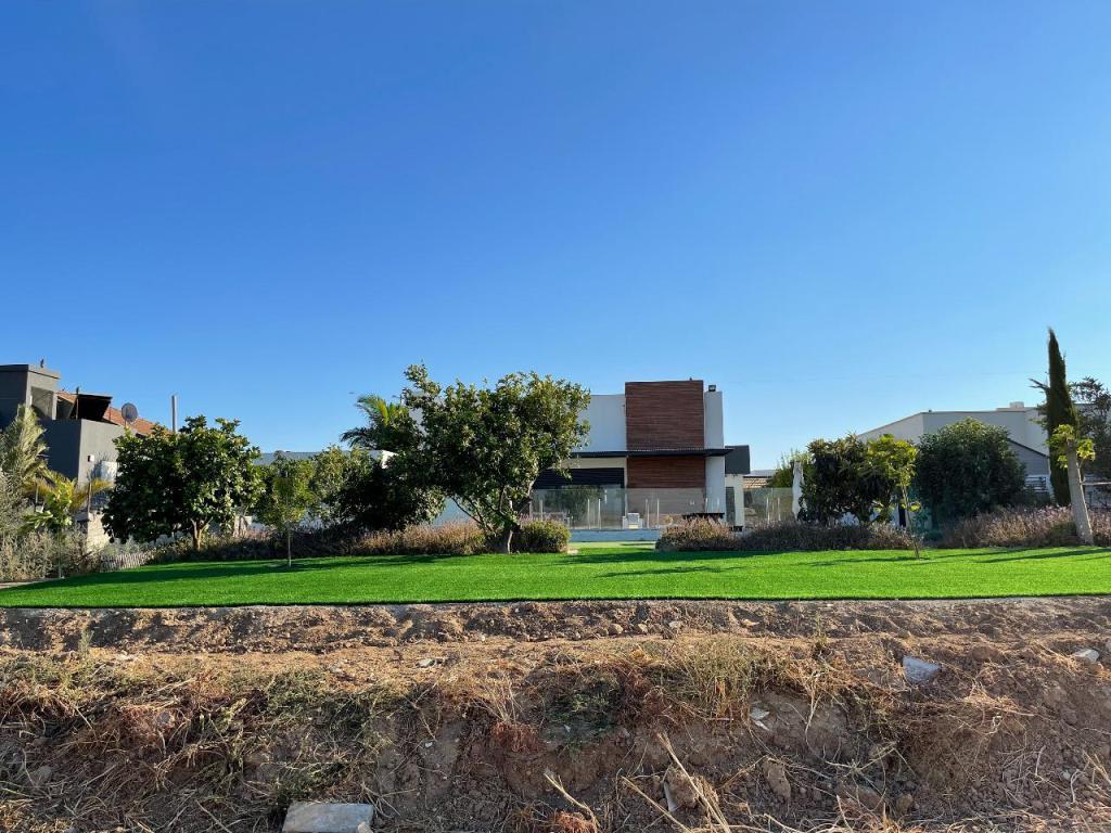 אריאל טרבלסי אריאל טרבלסי