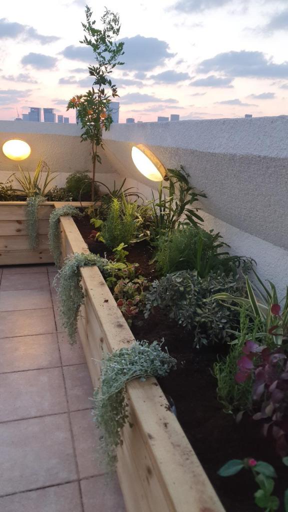 ג.ש.מ גינון נוי ופיתוח ג.ש.מ גינון נוי ופיתוח