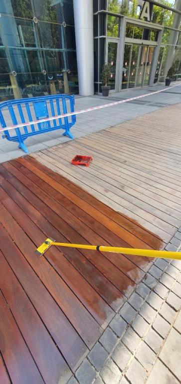 ג.ש.מ גינון נוי ופיתוח ג.ש.מ גינון נוי ופיתוח