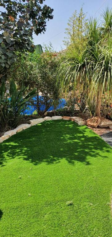 ג.ש.מ גינון נוי ופיתוח ג.ש.מ גינון נוי ופיתוח