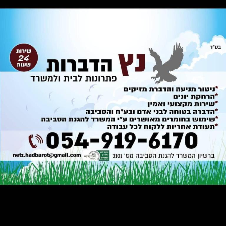 נץ הדברות נץ הדברות