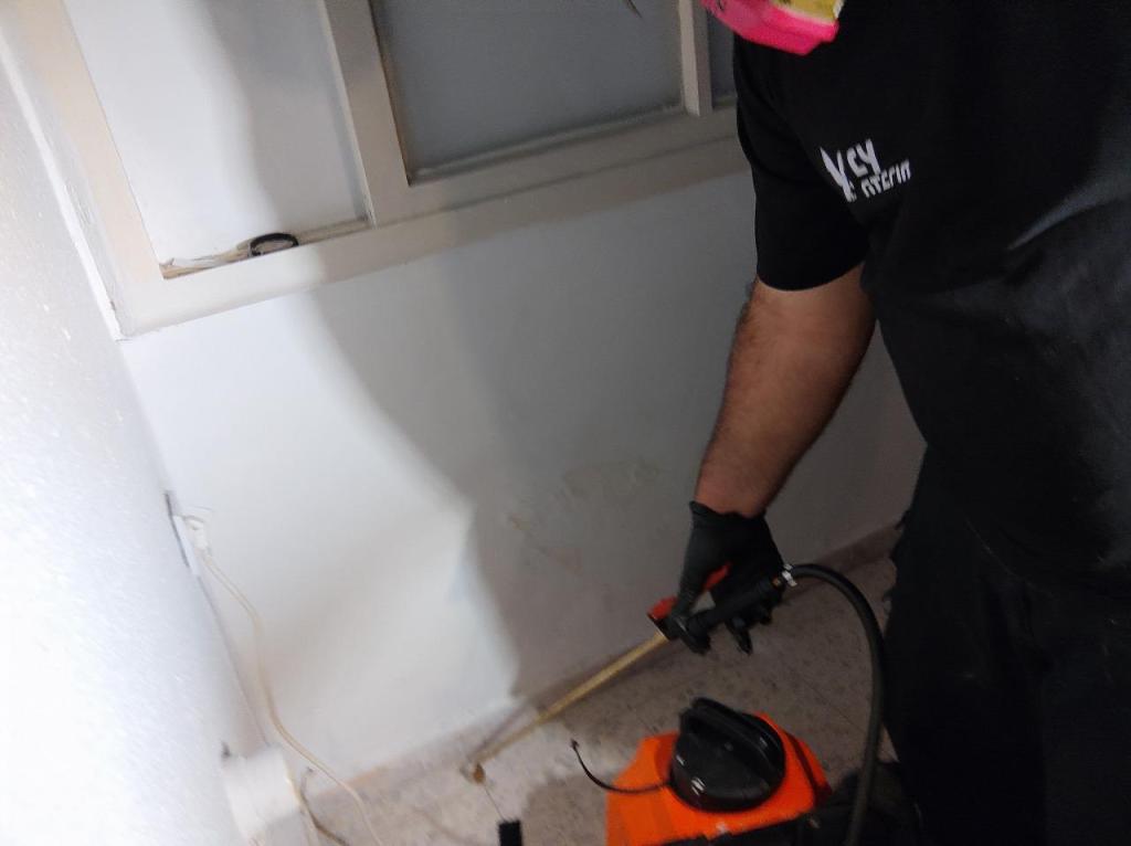 נץ הדברות נץ הדברות