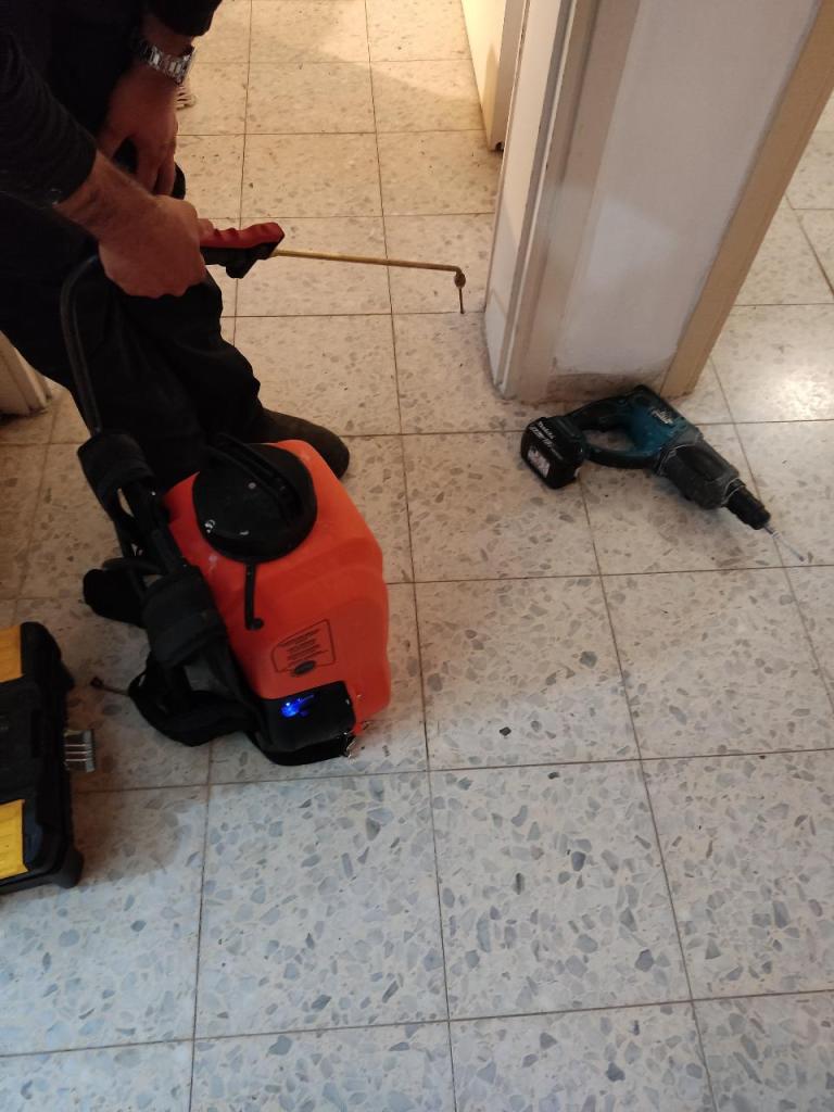 נץ הדברות נץ הדברות