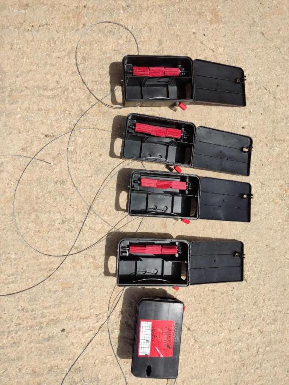 נץ הדברות נץ הדברות