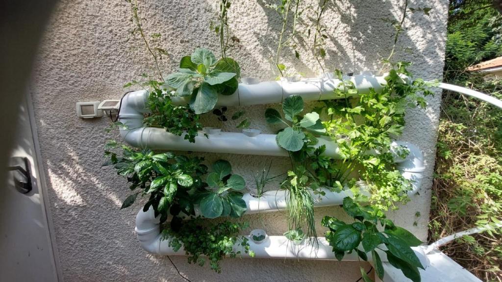 טרופיקל הום טרופיקל הום