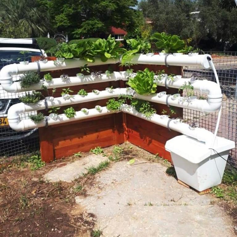 טרופיקל הום טרופיקל הום