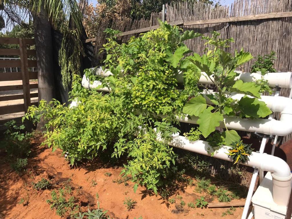 טרופיקל הום טרופיקל הום