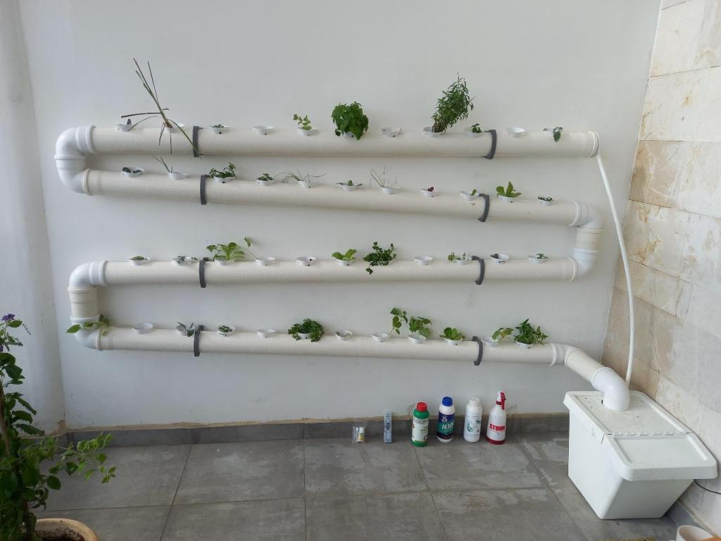 טרופיקל הום טרופיקל הום