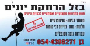 בזל הרחקת יונים