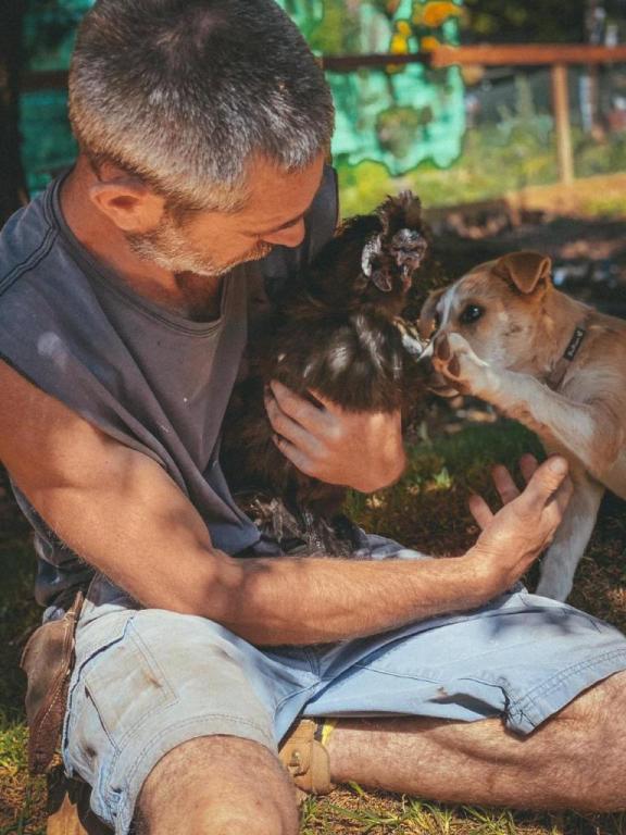 החווה ביער אודם החווה ביער אודם