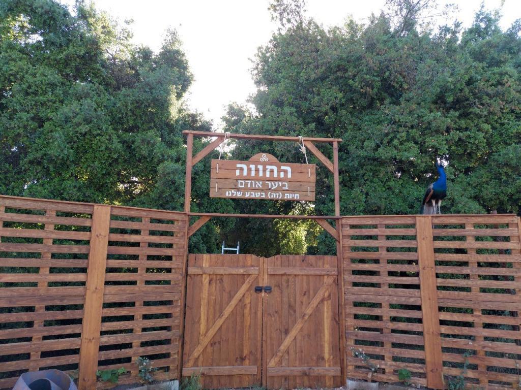 החווה ביער אודם החווה ביער אודם