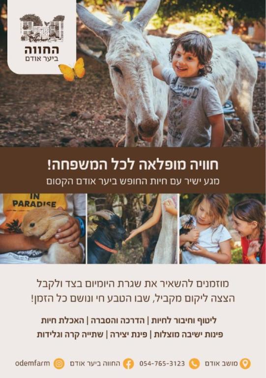 החווה ביער אודם החווה ביער אודם