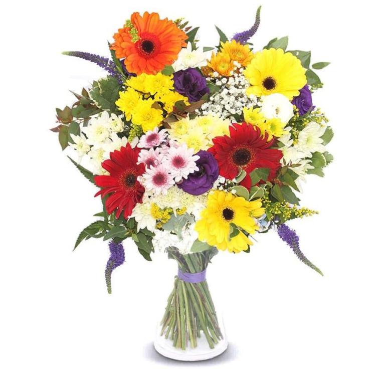 ניב פרחים ניב פרחים