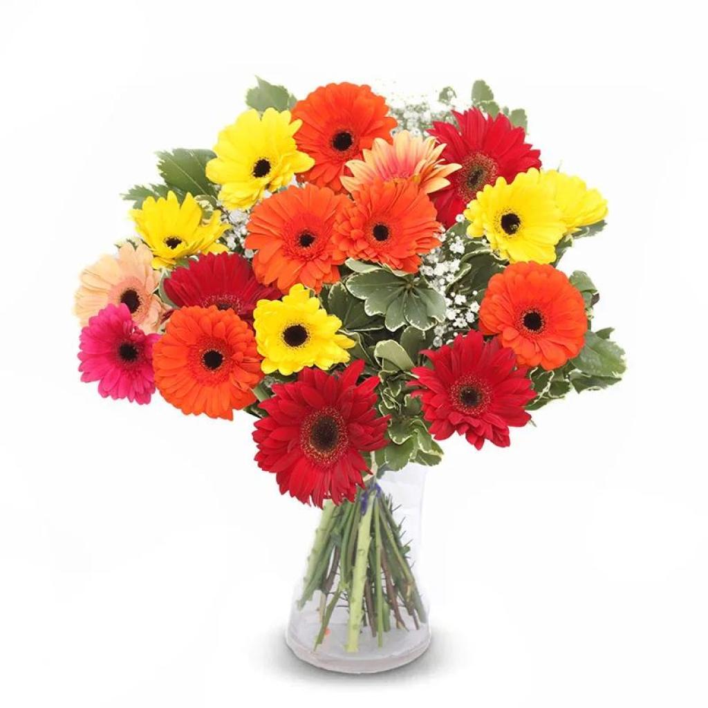 ניב פרחים ניב פרחים