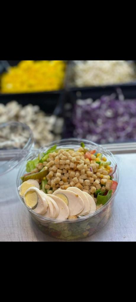 סלטוסט סלטוסט