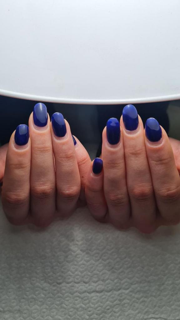 יובל בן משה ניילס יובל בן משה ניילס