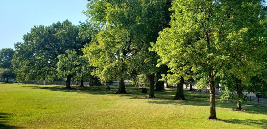 נירוונה על הפארק נירוונה על הפארק