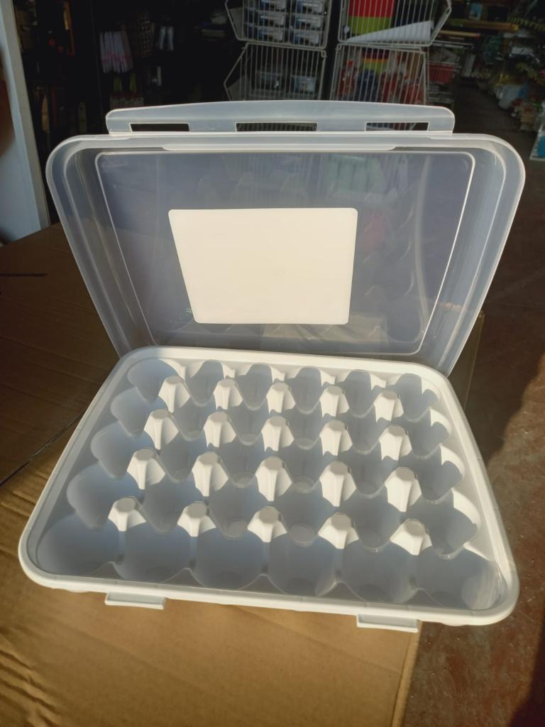 גל כהן גל כהן