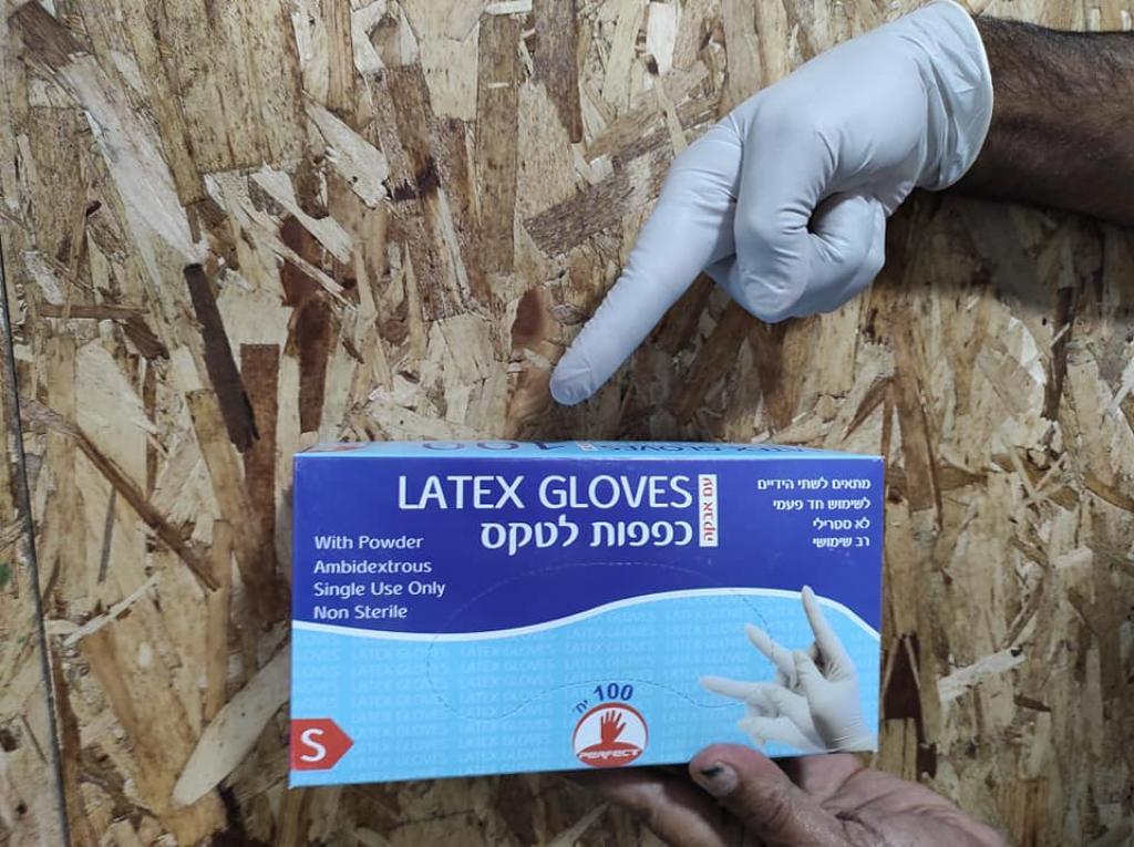 גל כהן גל כהן