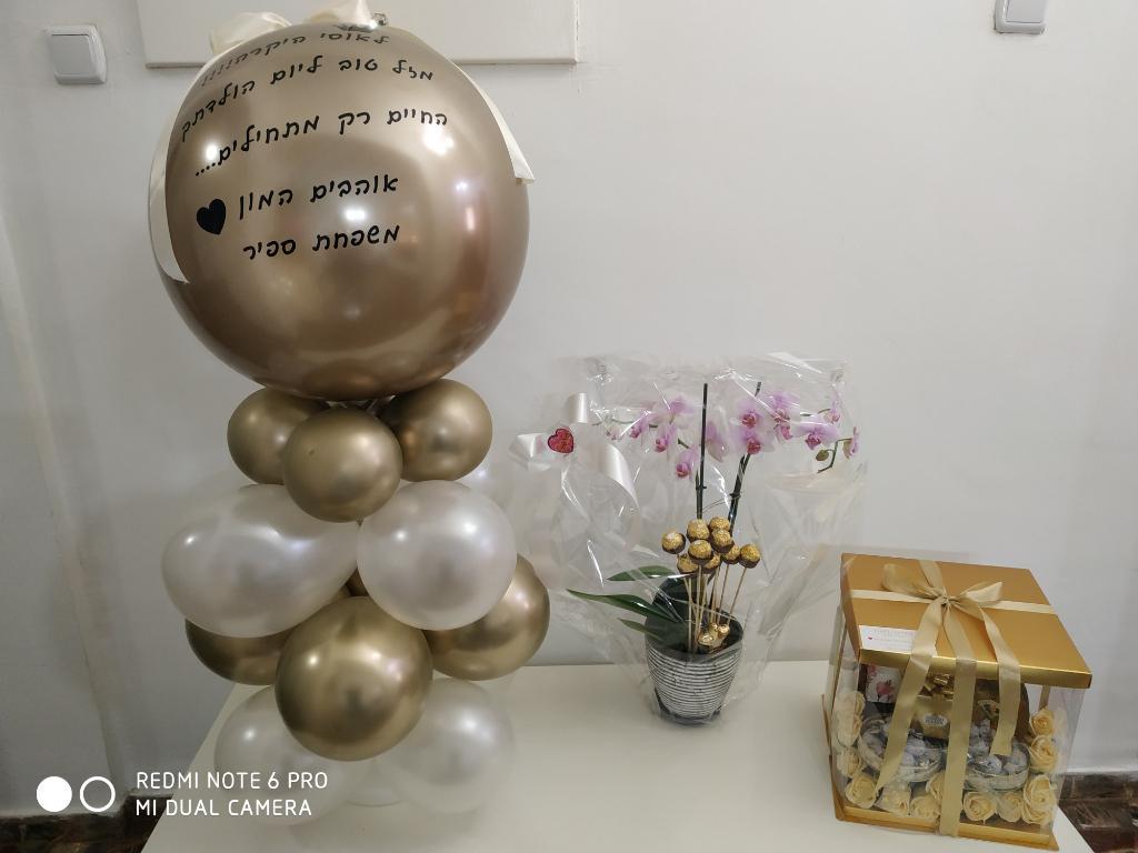 גאליס גאליס