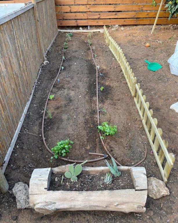 ברכת הגינה ברכת הגינה