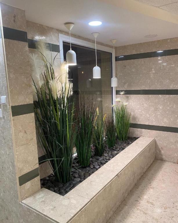 ברכת הגינה ברכת הגינה