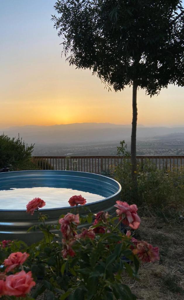 אורבן רטרו גארדן אורבן רטרו גארדן