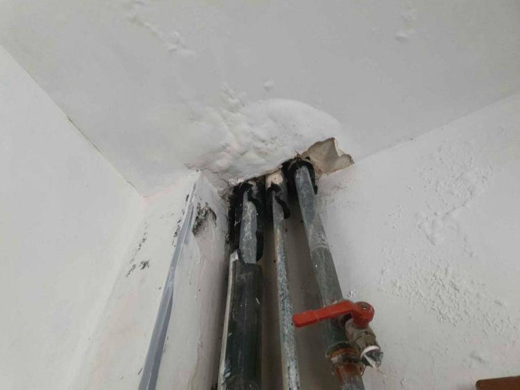 גוזי אספקה טכנית גוזי אספקה טכנית