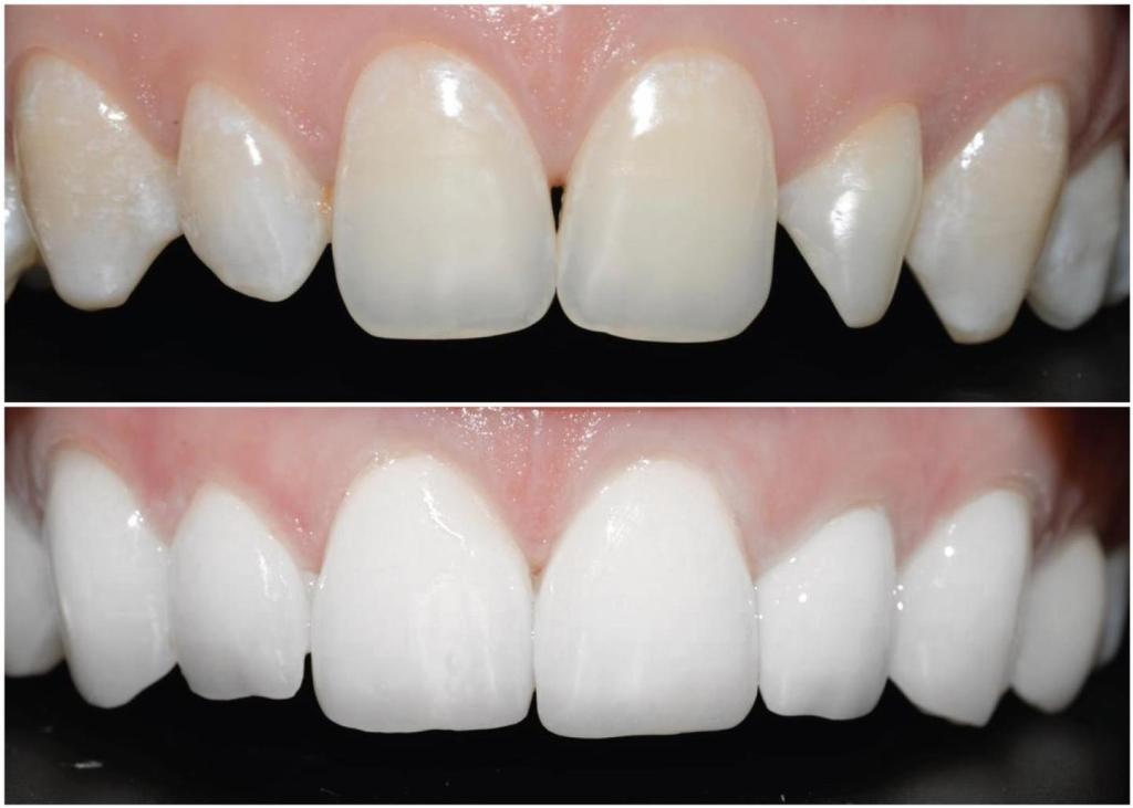 הקליניקה החברתית הקליניקה החברתית