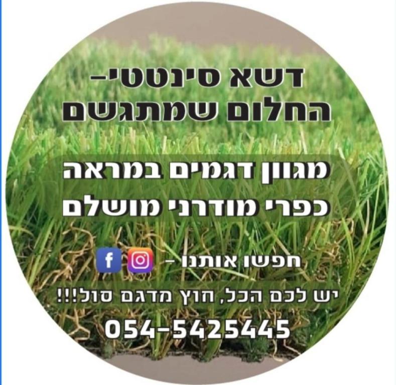 דשא סינטטי החלום שמתגשם דשא סינטטי החלום שמתגשם