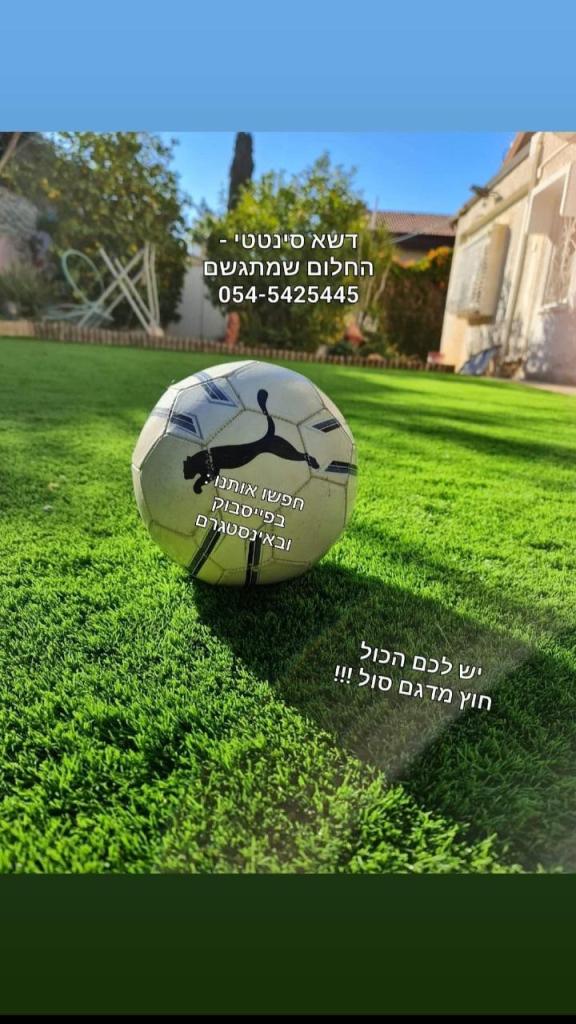דשא סינטטי החלום שמתגשם דשא סינטטי החלום שמתגשם