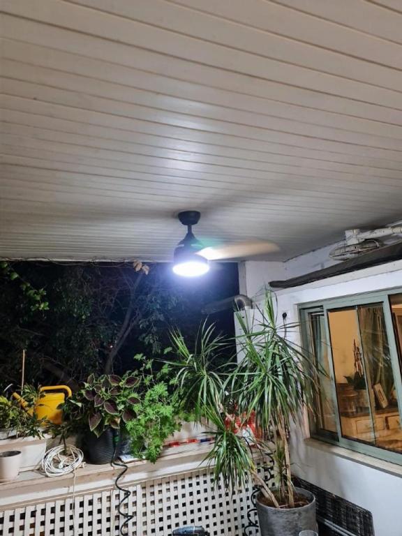 פיקס לייף פיקס לייף