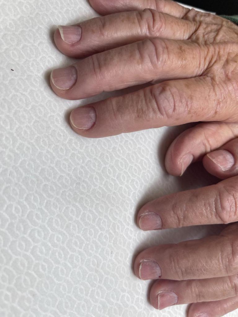 חני שלו חני שלו