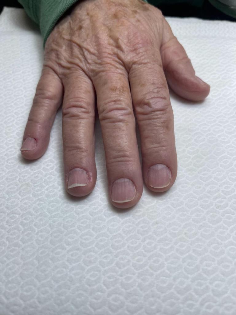 חני שלו חני שלו