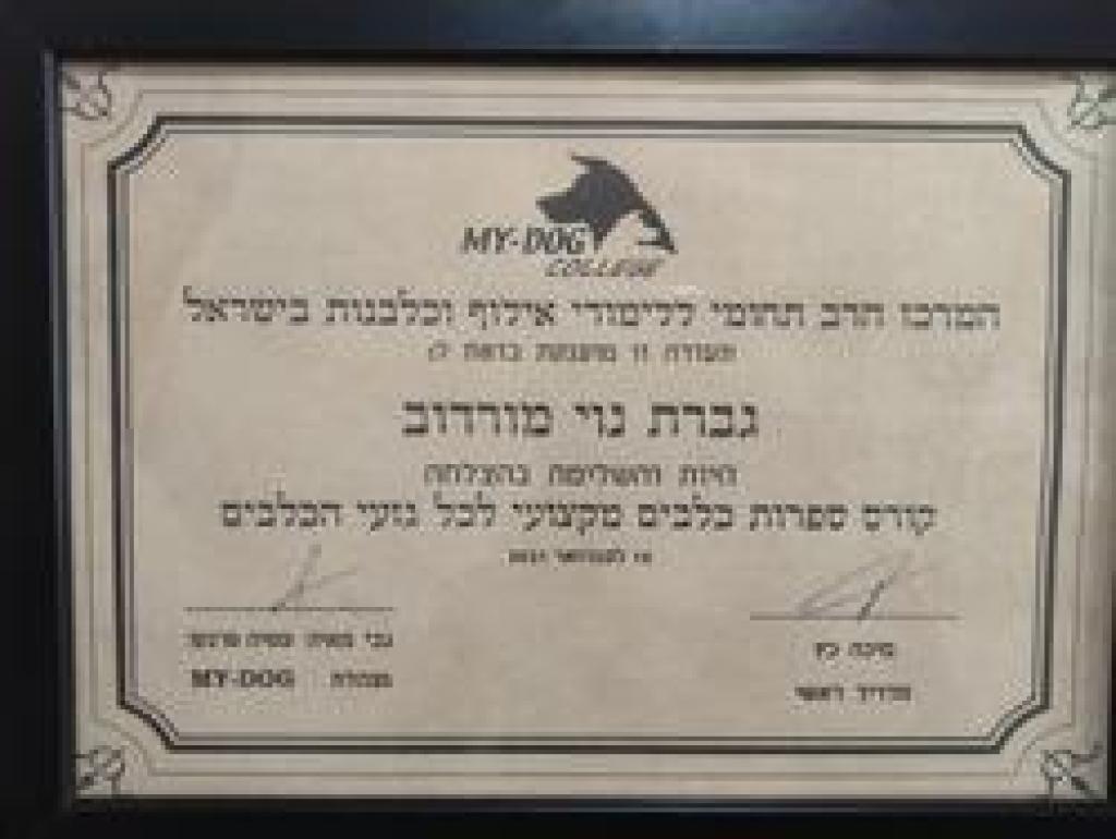 נוי לכלב נוי לכלב