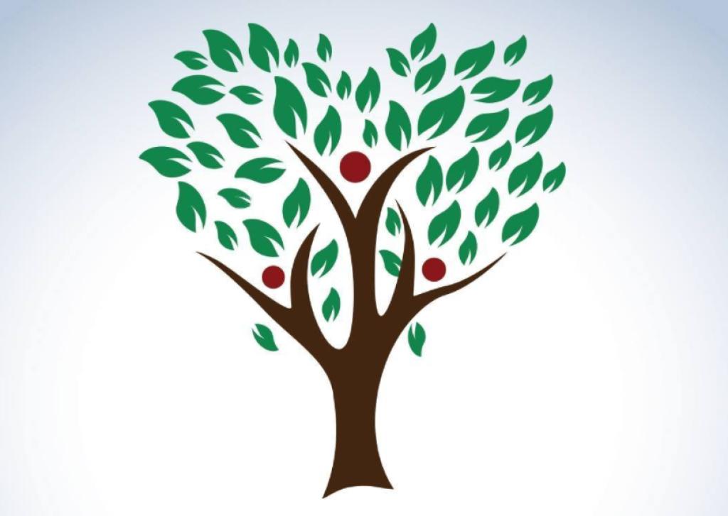 אלוני גישור אלוני גישור